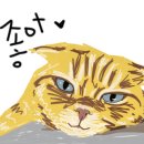 난니꼬양 이미지