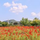 광의사거리 이미지