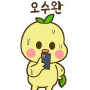 수영-101 이미지