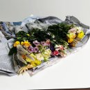 만원몰 | 꽃정기배송 유스풀몰 만원의행복 소형 꽃 후기