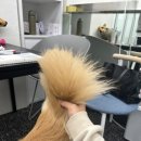 매너독반려견교육센터 이미지