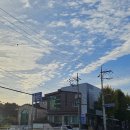 사림동108 이미지