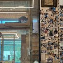 인투캣츠 이미지