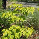 유원농장 이미지