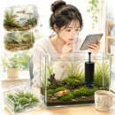 포란들 | 배송받은 새우가 포란한 새우인데 알을 떨어뜨렸다면? 어떻게 살려야 할까?