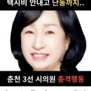 더불어근저당 소속 김지숙 춘천시의원이 술에 취해 택시비를 내지 않고 지구대에서 경찰관들에게 욕설하며 소란을 피운 혐의로 입건됐다. 이미지