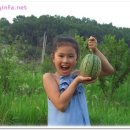 한빛장 | 한빛장네 다녀왔습니다.