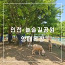 늘솔길공원입구 | 늘솔길공원 양떼목장 주차장 놀이터 인천 아이랑 갈만한곳