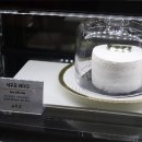 르돌치1946 이미지