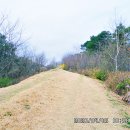 고려궁성곽길 이미지