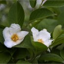 청경기업 이미지