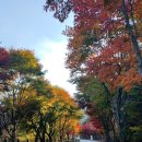 생태숲민박 이미지