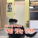 개밥짓는남자 이미지