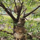 도연커피 이미지