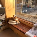 노은동물병원 이미지