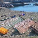 여수댁네 이미지