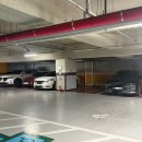 웅s의 몸사랑이야기 이미지