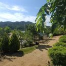 덕산수목원 이미지
