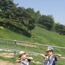 민성목장 이미지