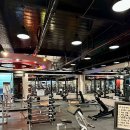 DH웰리스 이미지