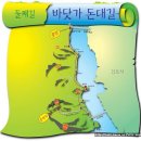 11월14일(토).. 강화의 "바닷가 돈대길" 걷기여행 안내!!! 이미지