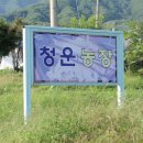 청운농장 이미지