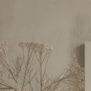 동탄바른정형외과의원 이미지