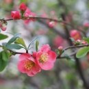 보현유통 이미지