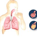 경희속편한한의원 이미지