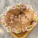 로다로지 이미지