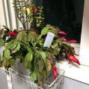 아주연합정형외과의원 이미지