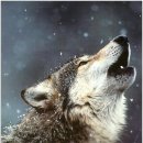 배재고등학교 이미지