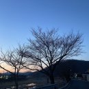 달감마트 | MBTI 50문답