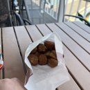 화담숲 벚꽃 실시간 상황 및 모노레일 후기