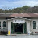 영월오아시스 글램핑 | [강원/글램핑] 영월 애견 동반 월드니스 글램핑 폴라리스 후기