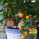 열매약국 이미지