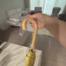 CarpeDiem(카르페디엠) | [장우산추천] 비바람도 걱정 없는 예쁜 [카르페디엠장우산] 솔직 후기