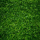 감성 더하기 라탄 소품 이미지