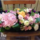 오렌지스포츠센터 이미지