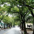 청풍면사무소 앞 이미지