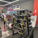 일프로짐 이미지