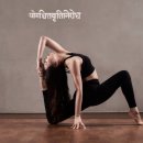 하타요가 이미지