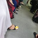 구피샵청수점