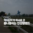 민들레목장 | 안성팜랜드 어린이날 연휴 후기