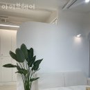 호계동미용실 아이브헤어 범계역미용실