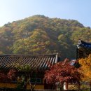 오어사 - 1880 | 오어사