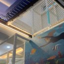 빛나키즈랜드2 이미지