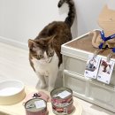 (주)세일피드 이미지