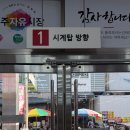 둥글레아동복