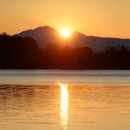 스타무인텔 이미지